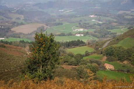Cerca de la frontera