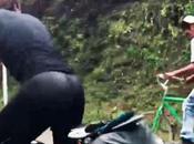 Campesino años “humilla” triatletas bordo bicicleta [Video]