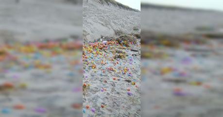 Una tormenta afectó a una isla y lo que apareció en la playa al día siguiente los dejó a todos locos Una tormenta afectó a una isla y lo que apareció en la playa al día siguiente los dejó a todos locos