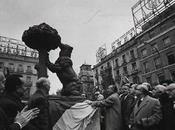 Madroño: medio siglo representando Madrid