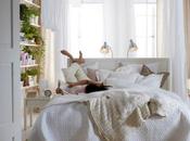 Salud hogar gracias plantas