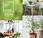 Greenery: color 2017 elegido Pantone