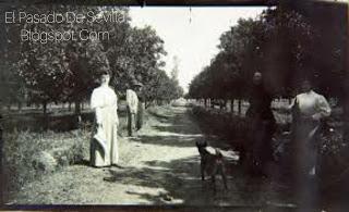 La desaparecida Huerta del Sol