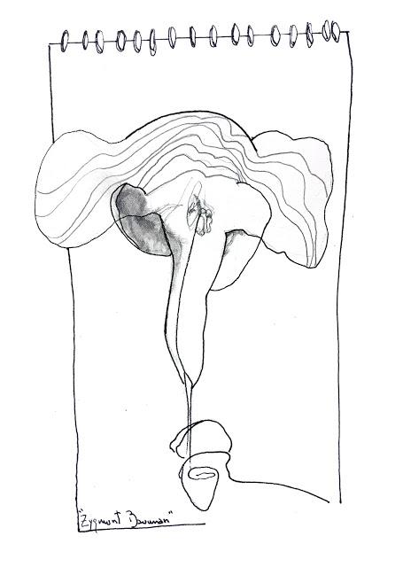 [Humor en cápsulas] Para hoy miércoles, 11 de enero de 2017