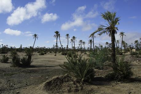 Que ver en Marrakech en un día.