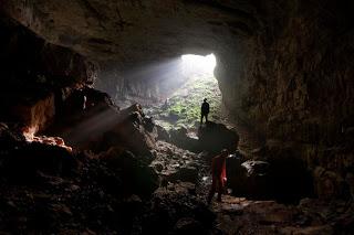 Arácnidos en Cantabria