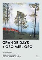 Concierto de Oso Miel Oso y Grande Days en Costello Club