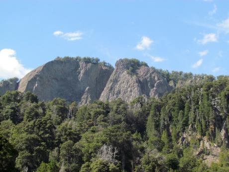 El bosque sumergido de Traful