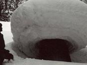 hongos gigantes nieve maravilla natural rara invierno
