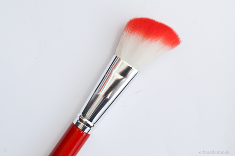 The Red Hot Brush Book | Vanity tools