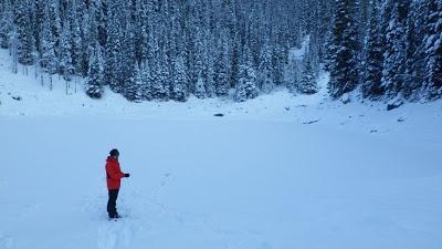 EXCURSIÓN HASTA EL LAKE AGNES