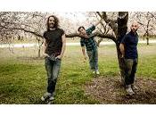 Cómo vivir campo deja versión Prometiste harías