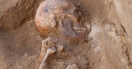 Decenas de tumbas y restos de un misterioso cocodrilo fueron encontradas en Egipto