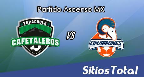 Cafetaleros de Tapachula vs Cimarrones de Sonora en Vivo – Online, Por TV, Radio en Linea, MxM – Clausura 2017 – Ascenso MX Cafetaleros de Tapachula vs Cimarrones de Sonora en Vivo – Online, Por TV, Radio en Linea, MxM – Clausura 2017 – Ascenso MX