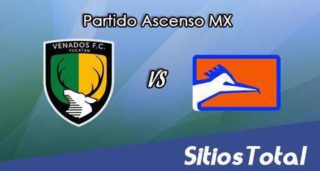 Venados FC vs Correcaminos en Vivo – Online, Por TV, Radio en Linea, MxM – Clausura 2017 – Ascenso MX Venados FC vs Correcaminos en Vivo – Online, Por TV, Radio en Linea, MxM – Clausura 2017 – Ascenso MX