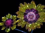 Deslumbrantes imágenes flores brillantes fotografiadas fluorescencia ultravioleta
