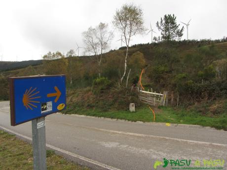 Camino de Santiago cerca de Bustelo del Camín