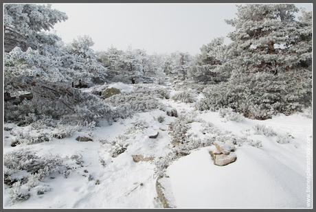 Ruta Puerto de Navacerrada al Pico Somontano