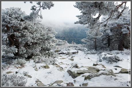 Ruta Puerto de Navacerrada - Pico Somontano