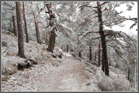 Ruta Puerto de Navacerrada al Pico Somontano