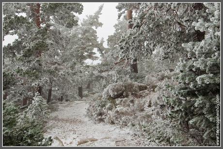 Ruta Puerto de Navacerrada - Pico Somontano