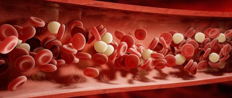 Signos y síntomas de una coagulación sanguínea