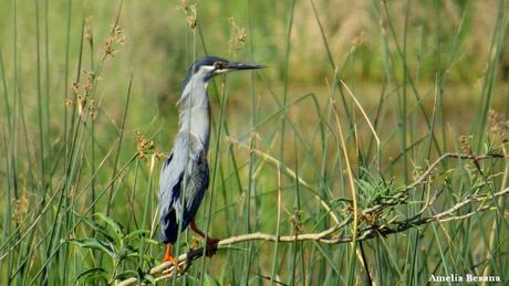 Recorriendo campos montenses (noviembre de  2016)