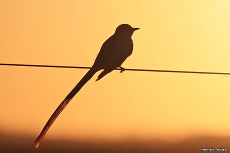 Recorriendo campos montenses (noviembre de  2016)