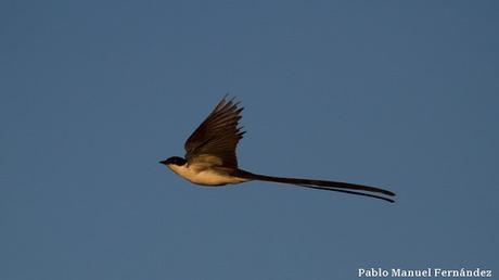 Recorriendo campos montenses (noviembre de  2016)