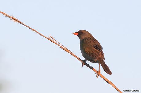 Recorriendo campos montenses (noviembre de  2016)