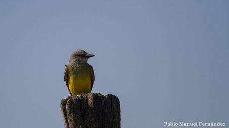 Recorriendo campos montenses (noviembre de  2016)