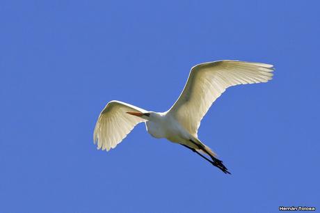 Recorriendo campos montenses (noviembre de  2016)