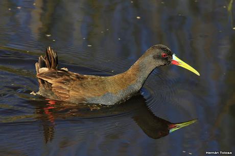 Recorriendo campos montenses (noviembre de  2016)