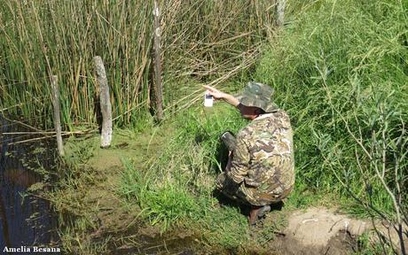 Recorriendo campos montenses (noviembre de  2016)