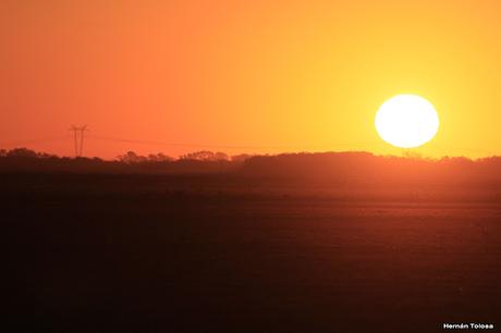 Recorriendo campos montenses (noviembre de  2016)