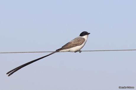 Recorriendo campos montenses (noviembre de  2016)