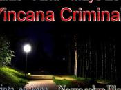 Yincana criminal 2017