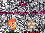 Recuento Daños Resultados Desafíos 2016