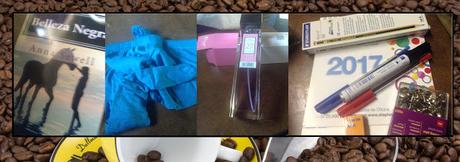 Mini haul #1 ~ enero 2017