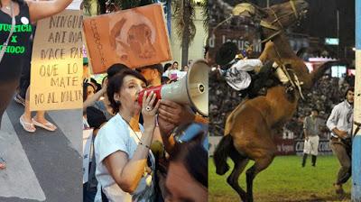El pedido de justicia por Chocolate se transformó en un reclamo por el maltrato a los caballos en Jesús María
