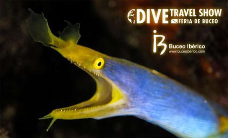 Buceo Ibérico y DiveTravel Show organizan el IV Concurso de Fotografía Submarina