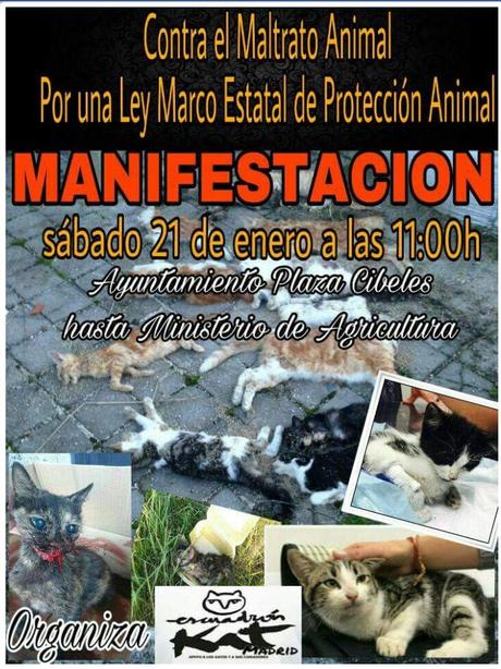 manifestacion madrid contra maltrato animal