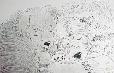 Adquisiciones de Diciembre de 2016 y regalos navideños