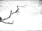 Paisaje mental, enero 2017