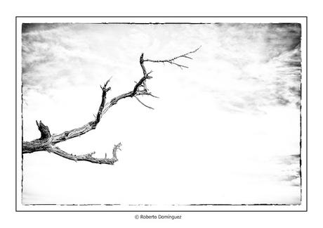 © R.Domínguez - Paisaje Mental