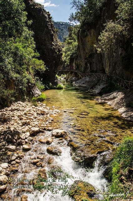 RÍO BOROSA-CERRADA DE ELÍAS