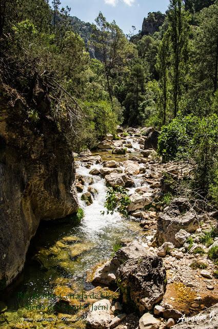 RÍO BOROSA-CERRADA DE ELÍAS