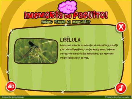 Juegos de Reciclaje y Educación Medioambiental con Fundación Biodiversidad