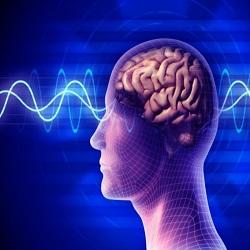 Psicología del trading