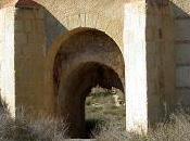 testar contemporáneo Elche